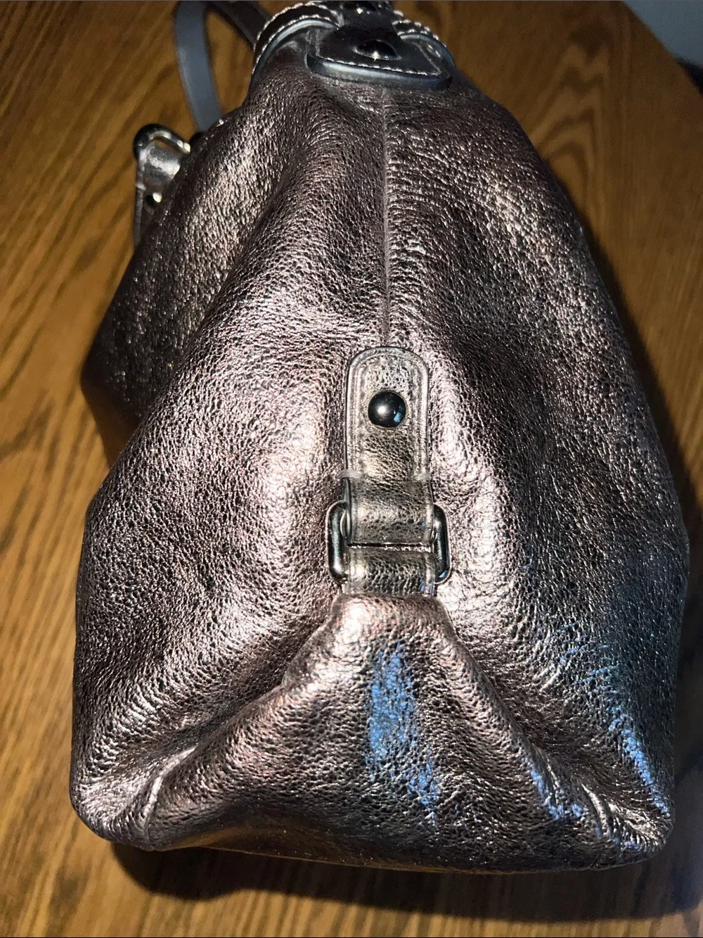 Coach Metallic Brooke Leather Pewter Hobo Bag